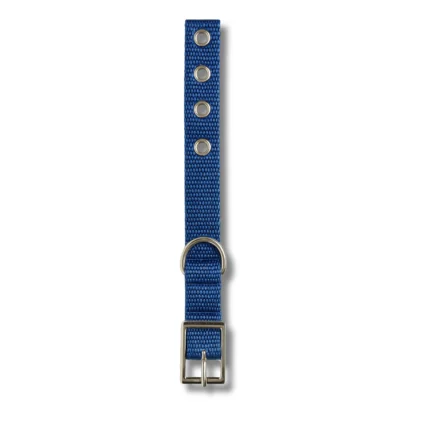 Collier Classique pour Chien