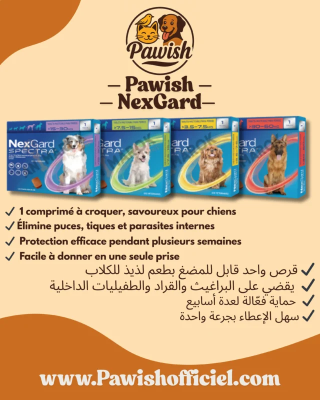 Pack Pawish — Protection Totale Anti-Parasitaires – Image 3
