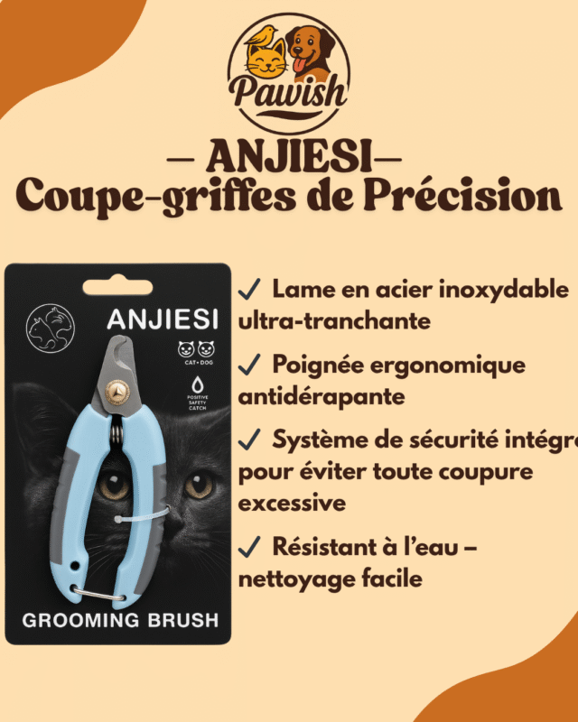 🐾 Pack Pawish – L’Essentiel de Soin – Image 5