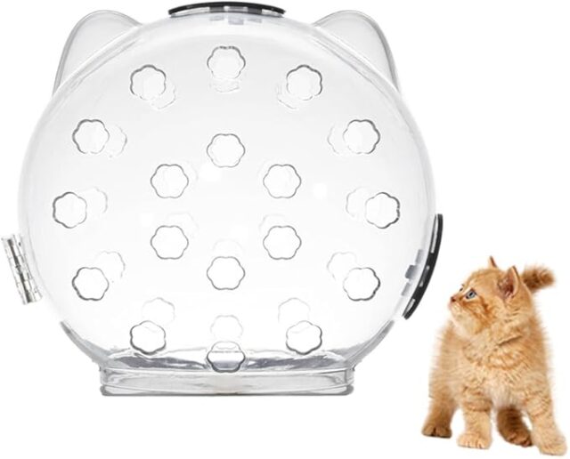 Casque de Protection Transparent pour Chats – Anti-Morsure & Anti-Griffure – Confort & Sécurité – Image 5