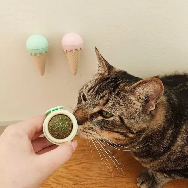 Boule de Cataire – Jouet Glace à l’Herbe à Chat – Image 2