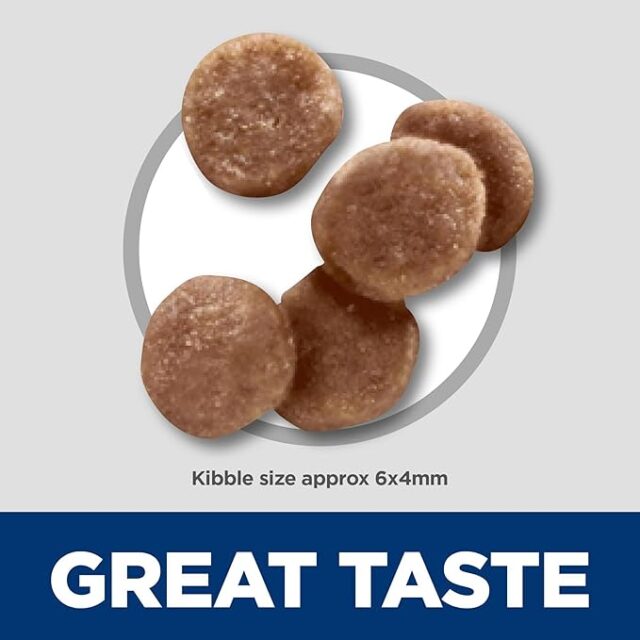 Croquettes chaton kitten au poulet 1,5kg - Hill's Science Plan – Image 4