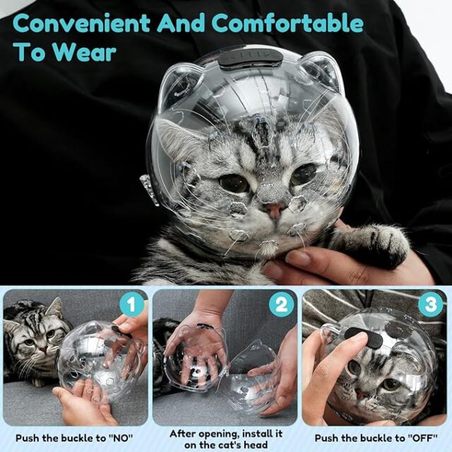 Casque de Protection Transparent pour Chats – Anti-Morsure & Anti-Griffure – Confort & Sécurité – Image 4