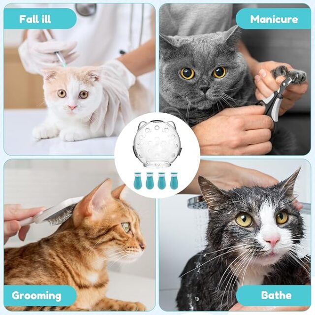 Casque de Protection Transparent pour Chats – Anti-Morsure & Anti-Griffure – Confort & Sécurité – Image 3