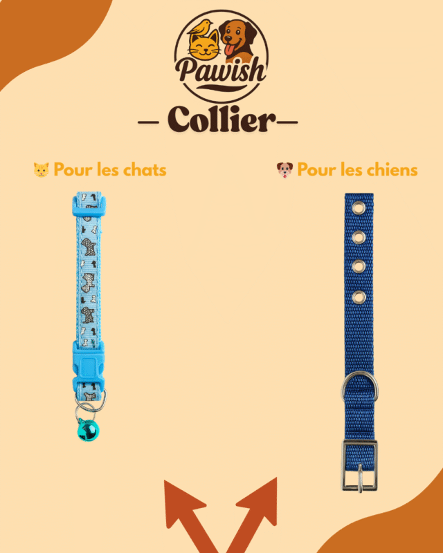 🐾 Pack Pawish – L’Essentiel de Soin – Image 9