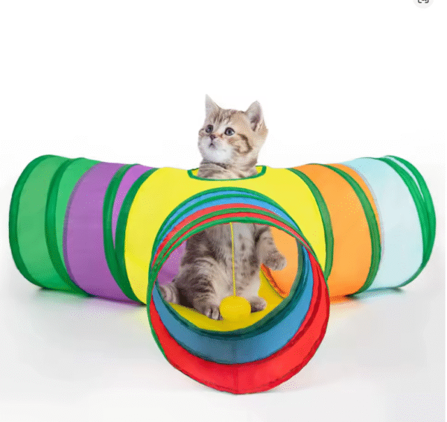 🐾 Tunnel de Jeu Pliable pour Chats – 3 Voies – Image 5