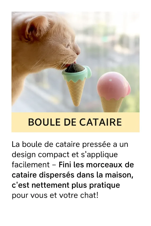 Boule de Cataire – Jouet Glace à l’Herbe à Chat – Image 5