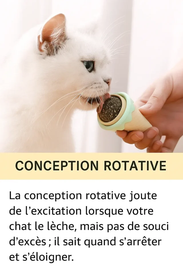 Boule de Cataire – Jouet Glace à l’Herbe à Chat – Image 6