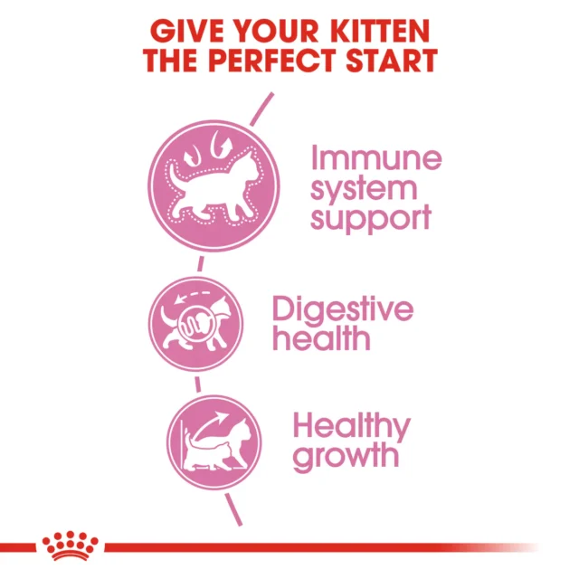 Royal Canin Kitten 400g – Croquettes 2ᵉ âge (2 – 12 mois) – Image 6