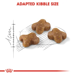 Royal Canin Kitten 2kg – Croquettes 2ᵉ âge (2 – 12 mois) – Image 4