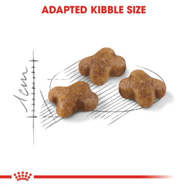 Royal Canin Kitten 400g – Croquettes 2ᵉ âge (2 – 12 mois) – Image 4