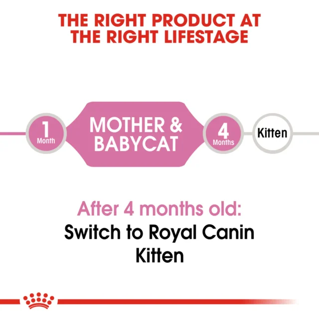 Royal Canin Mother & Babycat 2Kg – Croquettes 1ᵉʳ âge (mère & chatons 1-4 mois) – Image 6