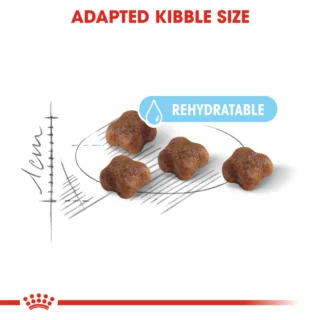 Royal Canin Mother & Babycat 2Kg – Croquettes 1ᵉʳ âge (mère & chatons 1-4 mois) – Image 2