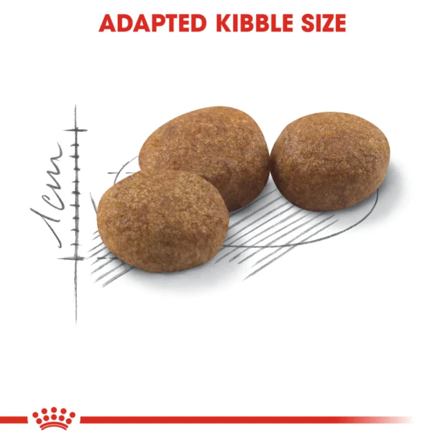 Royal Canin – Regular Sterilised 2kg, Croquettes pour chats stérilisés (1-7 ans) – Image 5